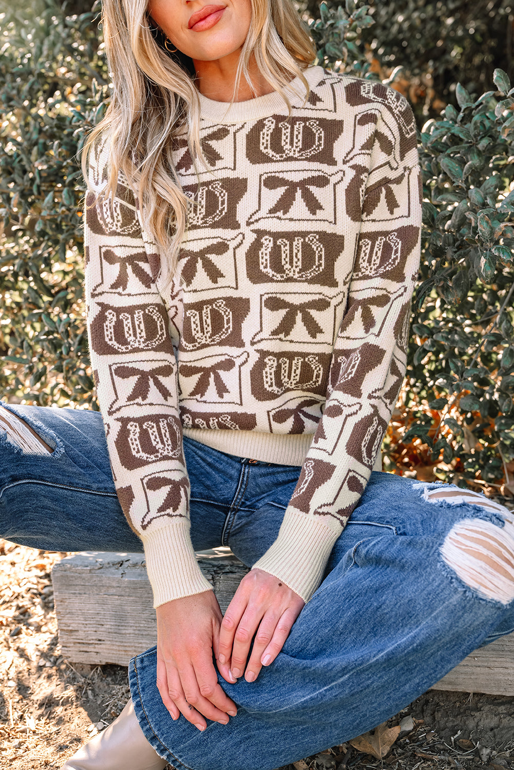Bows & Horseshoe Sweater